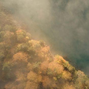 Wim-Hof-Workshop Natur Faaker See